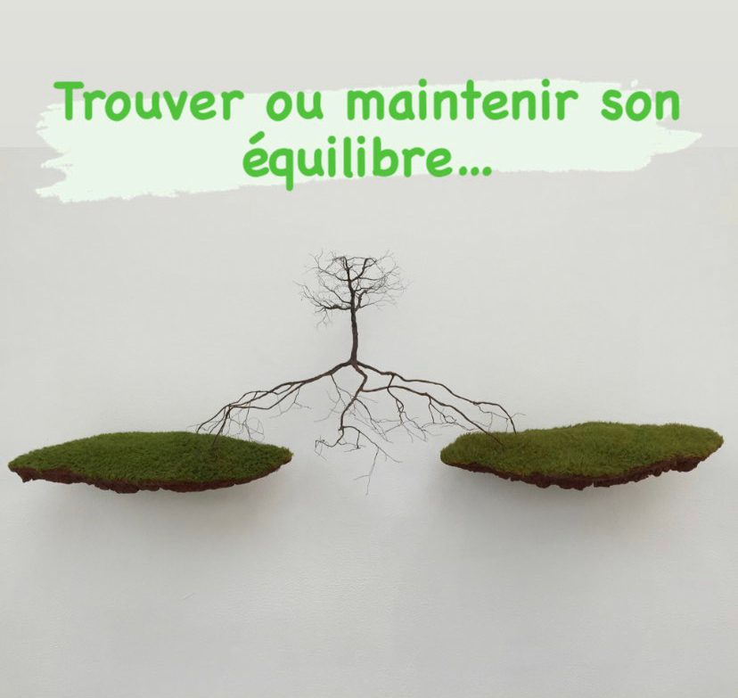 Illustration : un petit arbre dont les racines relient deux îlots de mousse, sous les mots « Trouver ou maintenir son équilibre… »