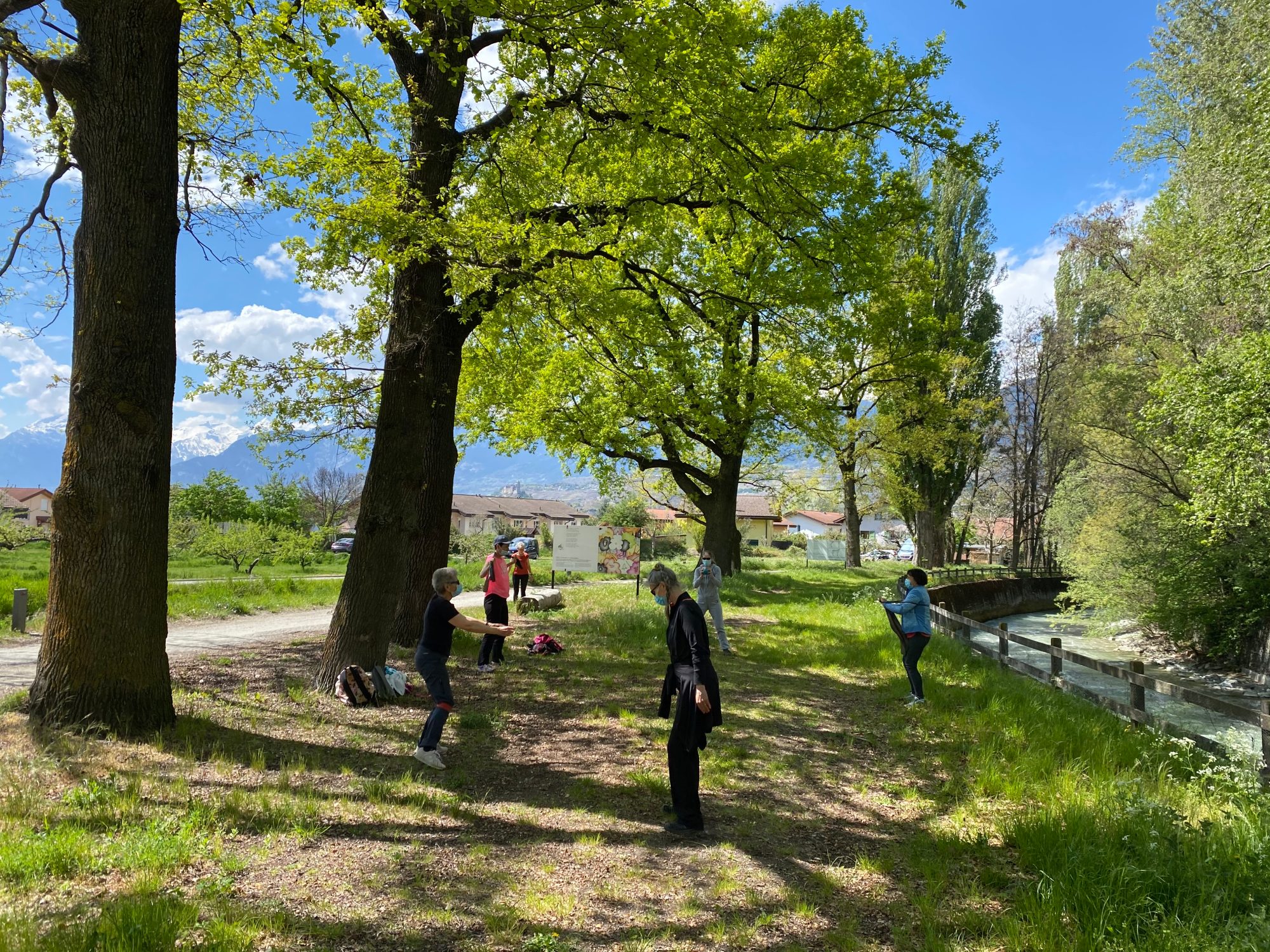 Un petit groupe fait des exercices, à distance les uns des autres, sous de grands arbres au bord d’un chemin