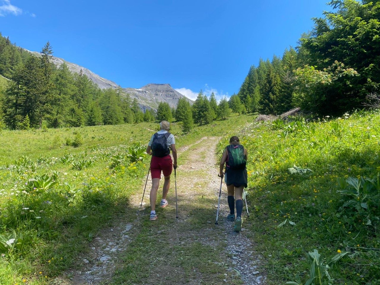 Deux personnes marchent avec des bâtons, de dos, sur un sentier qui traverse une prairie de montagne