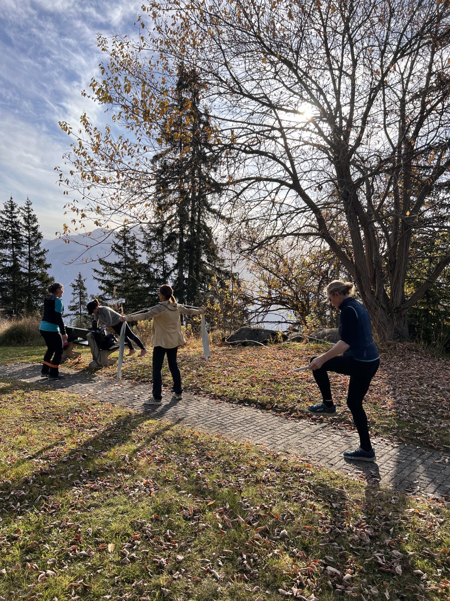 Quatre personnes font des exercices en plein air sur un chemin pavé, sous un grand arbre, en automne